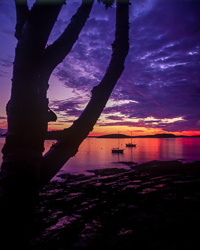 AM-LA-002&nbsp;&nbsp;&nbsp;&nbsp;&nbsp;&nbsp;&nbsp;&nbsp; Bright Colors Of Dusk, Bar Harbor, Maine