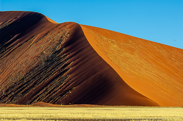 AF-LA-127&nbsp;&nbsp;&nbsp;&nbsp;&nbsp;&nbsp;&nbsp;&nbsp; Blooming Vegetation, Namib Desert, Namibia, Africa