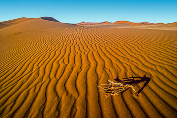 LE-AF-LA-19&nbsp;&nbsp;&nbsp;&nbsp;&nbsp;&nbsp;&nbsp;&nbsp; Perspective Pattern, Namib-Naukluft National Park, Namib Desert, Namibia