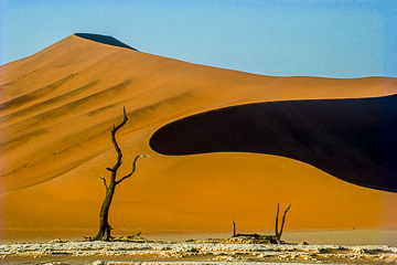 LE-AF-LA-21&nbsp;&nbsp;&nbsp;&nbsp;&nbsp;&nbsp;&nbsp;&nbsp; Curves In The Dune, Namib-Naukluft National Park, Namib Desert, Namibia