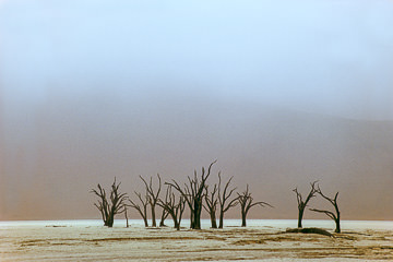 AF-LA-74&nbsp;&nbsp;&nbsp;&nbsp;&nbsp;&nbsp;&nbsp;&nbsp; The Dead Vlei Under Heavy Fog, Namib Desert, Namibia, Africa