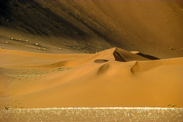 AF-LA-88&nbsp;&nbsp;&nbsp;&nbsp;&nbsp;&nbsp;&nbsp;&nbsp; Sand Dunes, Namib Desert, Namibia, Africa