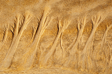 LE-SND-04&nbsp;&nbsp;&nbsp;&nbsp;&nbsp;&nbsp;&nbsp;&nbsp; Sand Design, Coast of Bahia, Brazil