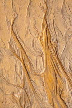 SND-247&nbsp;&nbsp;&nbsp;&nbsp;&nbsp;&nbsp;&nbsp;&nbsp; Sand Design