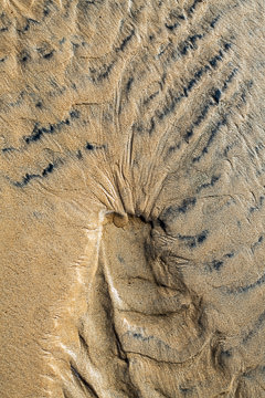 LE-SND-254&nbsp;&nbsp;&nbsp;&nbsp;&nbsp;&nbsp;&nbsp;&nbsp; Sand Design, Coast of Bahia, Brazil