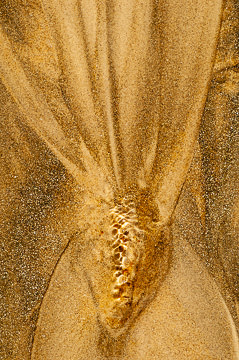 SND-285&nbsp;&nbsp;&nbsp;&nbsp;&nbsp;&nbsp;&nbsp;&nbsp; Sand Design