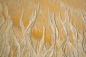 LE-SND-386&nbsp;&nbsp;&nbsp;&nbsp;&nbsp;&nbsp;&nbsp;&nbsp; Sand Design, Coast of Bahia, Brazil