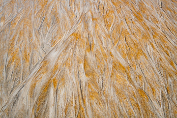 LE-SND-396&nbsp;&nbsp;&nbsp;&nbsp;&nbsp;&nbsp;&nbsp;&nbsp; Sand Design, Coast of Bahia, Brazil