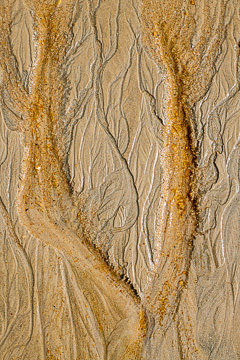 LE-SND-623&nbsp;&nbsp;&nbsp;&nbsp;&nbsp;&nbsp;&nbsp;&nbsp; Sand Design, Coast of Bahia, Brazil