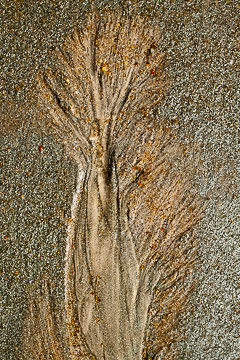 LE-SND-635&nbsp;&nbsp;&nbsp;&nbsp;&nbsp;&nbsp;&nbsp;&nbsp; Sand Design, Coast of Bahia, Brazil