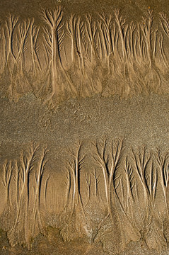 SND-70&nbsp;&nbsp;&nbsp;&nbsp;&nbsp;&nbsp;&nbsp;&nbsp; Sand Design