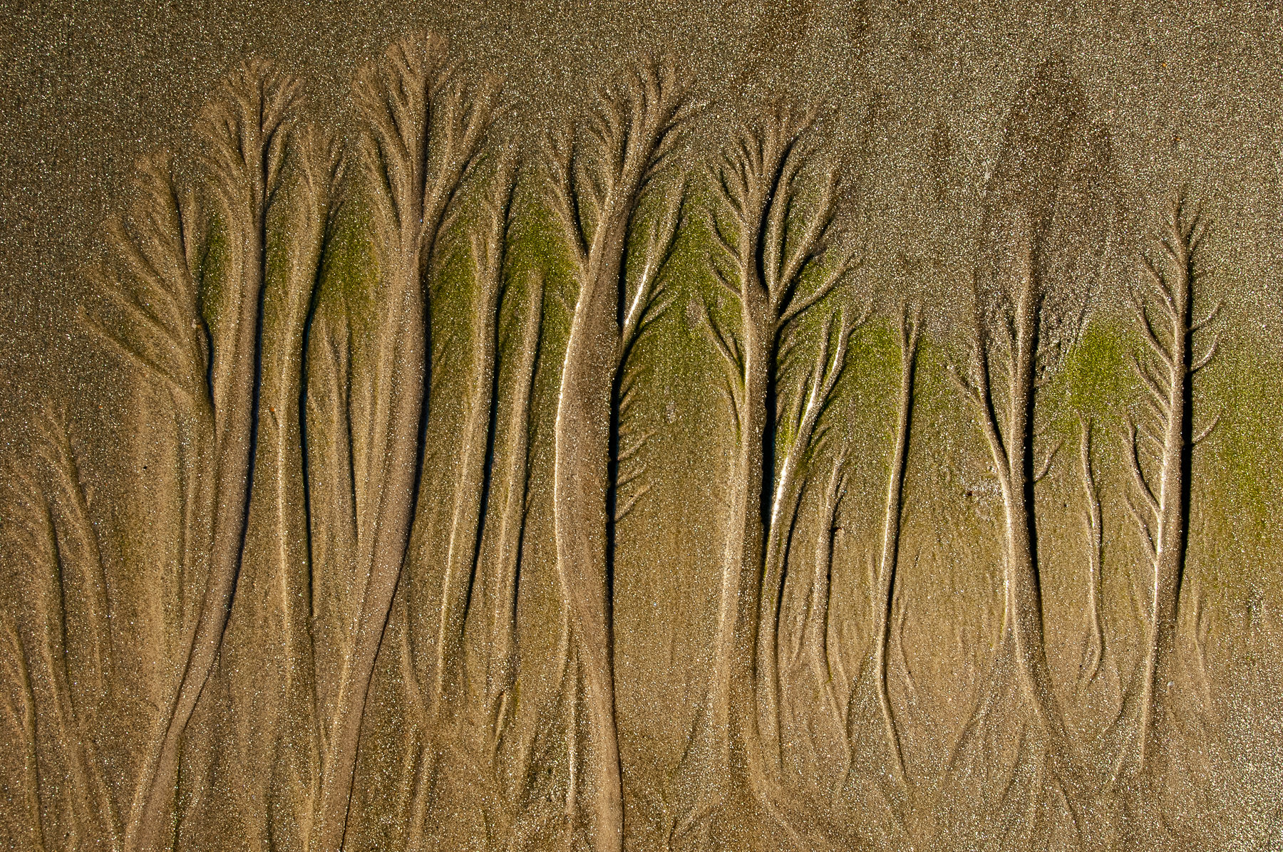 Photograph of ocean sand patterns, southern Bahia, Brazil, taken by Gil Lopez-Espina