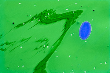 MH-06&nbsp;&nbsp;&nbsp;&nbsp;&nbsp;&nbsp;&nbsp;&nbsp; Abstract Close-Up Of Paints Mixing