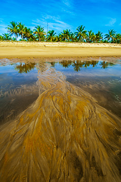 LE-BR-LA-26&nbsp;&nbsp;&nbsp;&nbsp;&nbsp;&nbsp;&nbsp;&nbsp; Patterns On The Beach, Southern Coast Of Bahia, Brazil