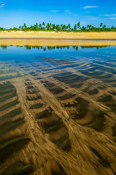 LE-BR-LA-38&nbsp;&nbsp;&nbsp;&nbsp;&nbsp;&nbsp;&nbsp;&nbsp; Patterns On The Beach, Southern Coast Of Bahia, Brazil