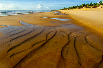 BR-LA-58&nbsp;&nbsp;&nbsp;&nbsp;&nbsp;&nbsp;&nbsp;&nbsp; Beach At Mogiquicaba, Bahia, Brazil