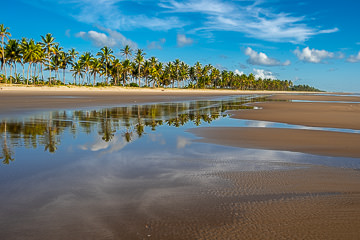 BR-LA-110&nbsp;&nbsp;&nbsp;&nbsp;&nbsp;&nbsp;&nbsp;&nbsp; Beach At Rio Preto, Bahia, Brazil