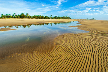 BR-LA-98&nbsp;&nbsp;&nbsp;&nbsp;&nbsp;&nbsp;&nbsp;&nbsp; Beach At Rio Preto, Bahia, Brazil