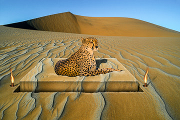 LE-SUR-06&nbsp;&nbsp;&nbsp;&nbsp;&nbsp;&nbsp;&nbsp;&nbsp; Regality In The Desert