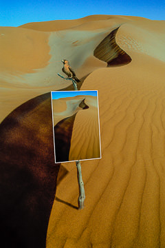 LE-SUR-19&nbsp;&nbsp;&nbsp;&nbsp;&nbsp;&nbsp;&nbsp;&nbsp; A Print For Sale