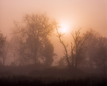 AM-LA-003&nbsp;&nbsp;&nbsp;&nbsp;&nbsp;&nbsp;&nbsp;&nbsp; Foggy Morning, Outside Of Rutland, Vermont